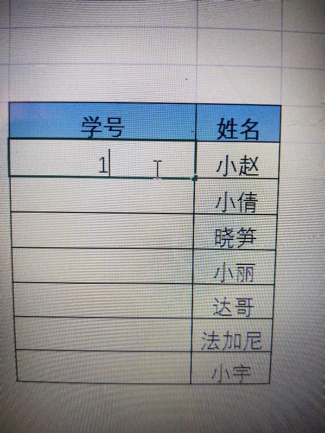 为何Excel里学生学号被设置为文本格式而非数字?背后原因是什么? 第2张 为何Excel里学生学号被设置为文本格式而非数字?背后原因是什么? 第2张