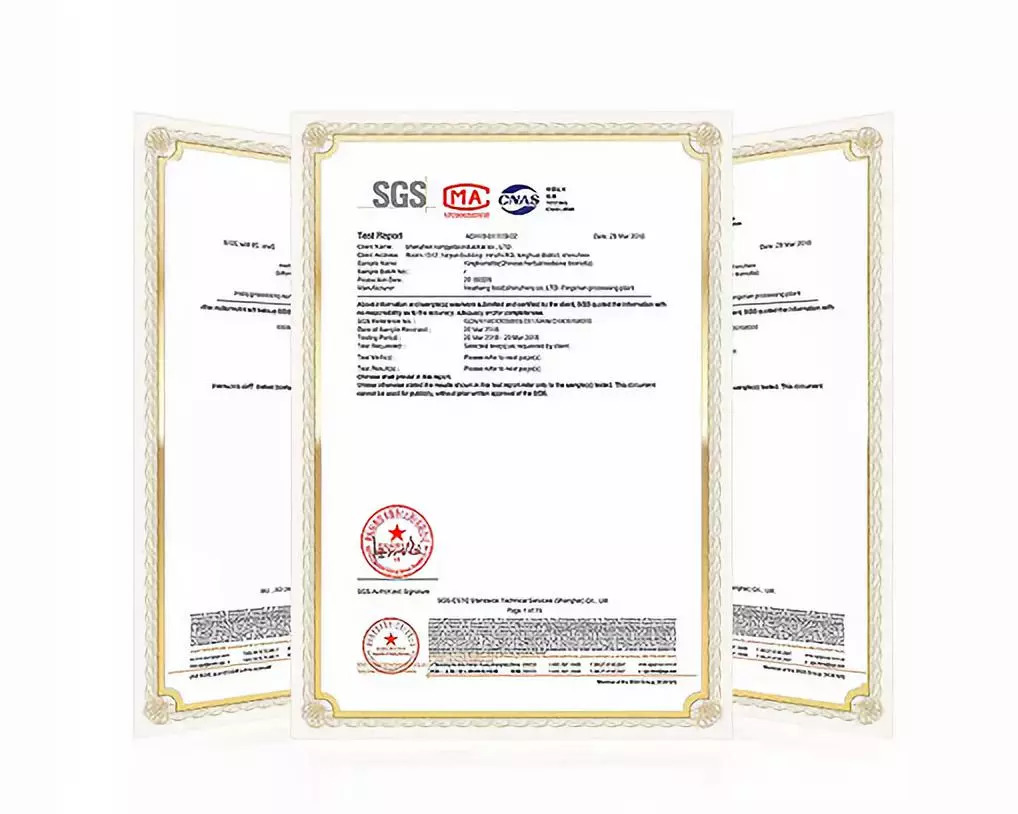 g5根证书究竟有何神秘?揭秘其在网络安全中的关键作用? 第2张 g5根证书究竟有何神秘?揭秘其在网络安全中的关键作用? 第2张