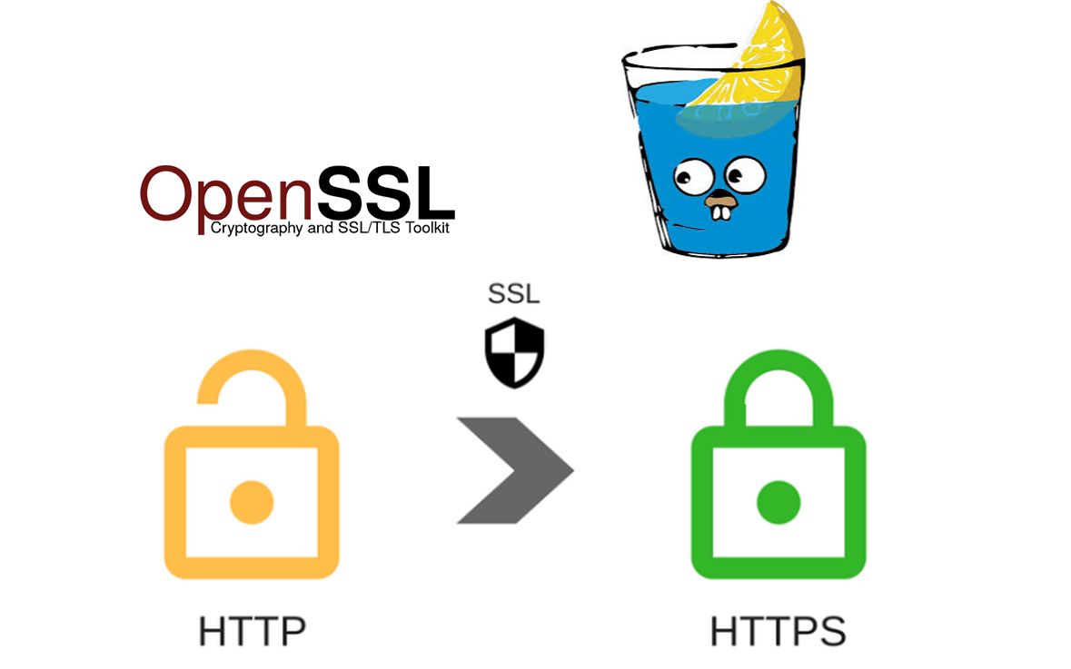 Golang SSL证书解析中存在哪些常见问题和解决方法? 第1张 Golang SSL证书解析中存在哪些常见问题和解决方法? 第1张
