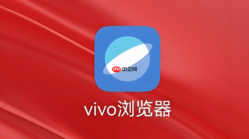 vivo原生系统频繁闪退,究竟隐藏哪些技术问题或使用隐患? 第3张 vivo原生系统频繁闪退,究竟隐藏哪些技术问题或使用隐患? 第3张