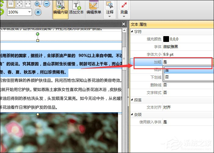 pdf图片中文字怎么识别字体格式 第1张 pdf图片中文字怎么识别字体格式 第1张
