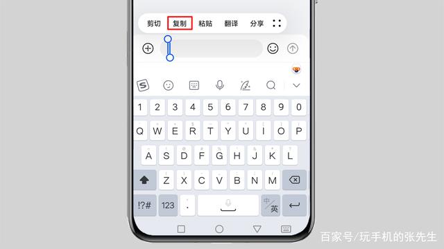 为何输入空格键后屏幕出现方格图案? 第1张 为何输入空格键后屏幕出现方格图案? 第1张