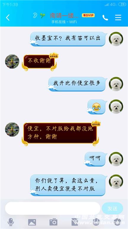 为何无缘无故我被拉进陌生群聊,背后有何隐情? 第1张 为何无缘无故我被拉进陌生群聊,背后有何隐情? 第1张