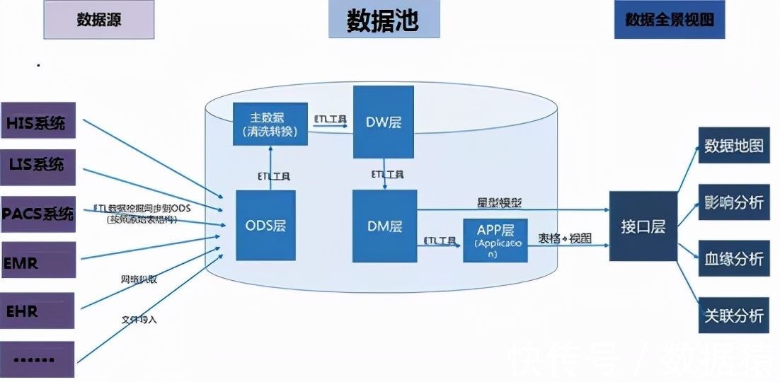 分析器与数据库间究竟有何紧密联系?深入探讨两者间的关系与作用。 第2张 分析器与数据库间究竟有何紧密联系?深入探讨两者间的关系与作用。 第2张