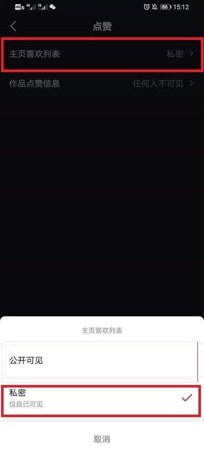 抖音为何仅限自己可见?背后原因及隐私保护考量是什么? 第2张 抖音为何仅限自己可见?背后原因及隐私保护考量是什么? 第2张