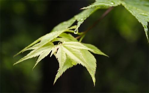 如何高效操作备份服务器以实现数据库数据完整备份? 第2张 如何高效操作备份服务器以实现数据库数据完整备份? 第2张