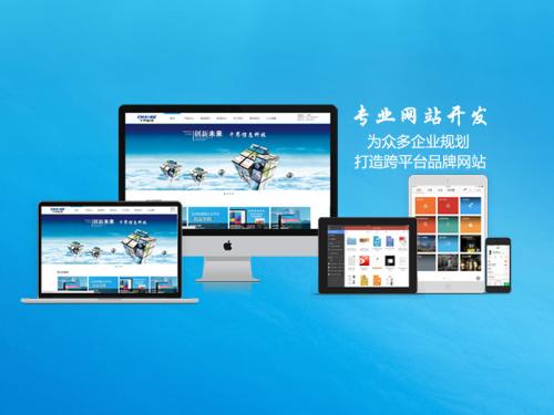 如何高效开发一个既能提升企业形象又能满足企业需求的完美公司门户网站? 第2张 如何高效开发一个既能提升企业形象又能满足企业需求的完美公司门户网站? 第2张