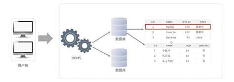 Vue Axios连接SQL数据库的正确步骤和方法是什么? 第1张 Vue Axios连接SQL数据库的正确步骤和方法是什么? 第1张