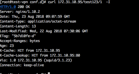 squid配置linux,如何在Linux系统下配置Squid代理服务器