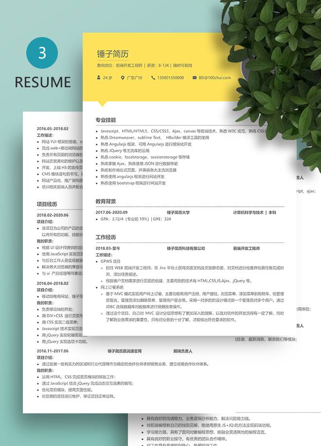 asp.net简历,如何撰写一份令人瞩目的ASP.NET开发人员求职简历? 第2张 asp.net简历,如何撰写一份令人瞩目的ASP.NET开发人员求职简历? 第2张