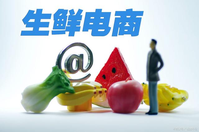 生鲜电商行业,究竟哪个域名最能吸引消费者目光? 第1张 生鲜电商行业,究竟哪个域名最能吸引消费者目光? 第1张