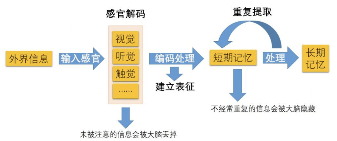 记忆整合是什么原理,记忆巩固过程 第3张 记忆整合是什么原理,记忆巩固过程 第3张
