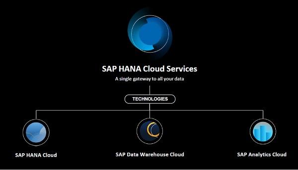 SAP HANA服务器,为何成为企业数字化转型关键,其性能与安全性如何保障? 第3张 SAP HANA服务器,为何成为企业数字化转型关键,其性能与安全性如何保障? 第3张