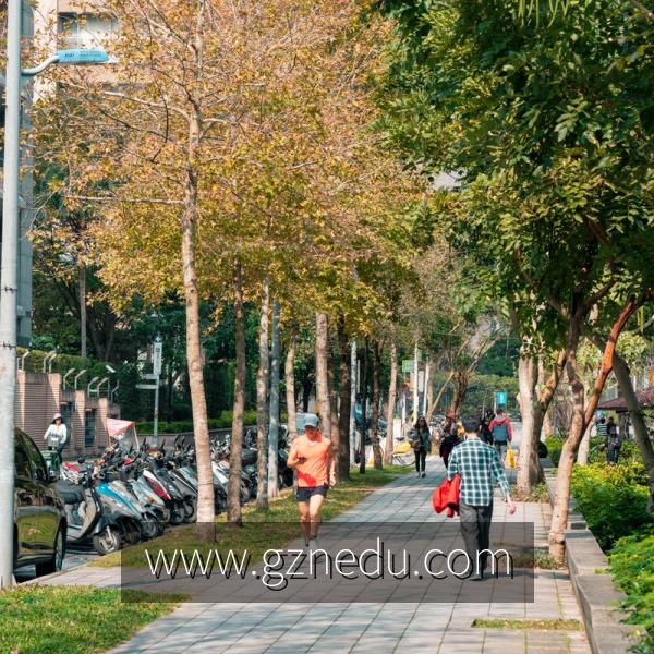 淘宝免费个性域名怎么设置?淘宝免费个性域名申请流程 第3张 淘宝免费个性域名怎么设置?淘宝免费个性域名申请流程 第3张