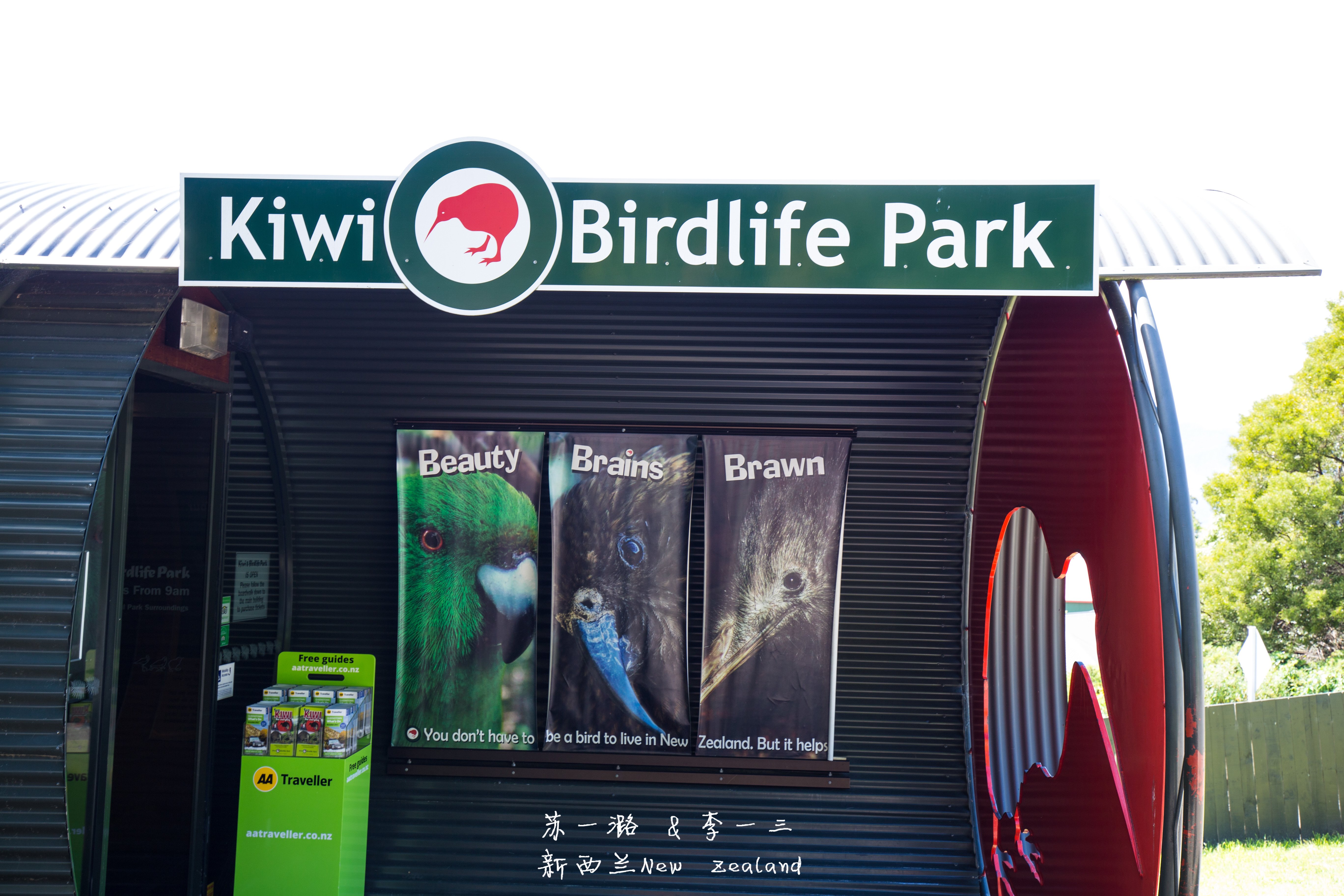 kiwi域名是什么?kiwi域名怎么注册 第1张 kiwi域名是什么?kiwi域名怎么注册 第1张