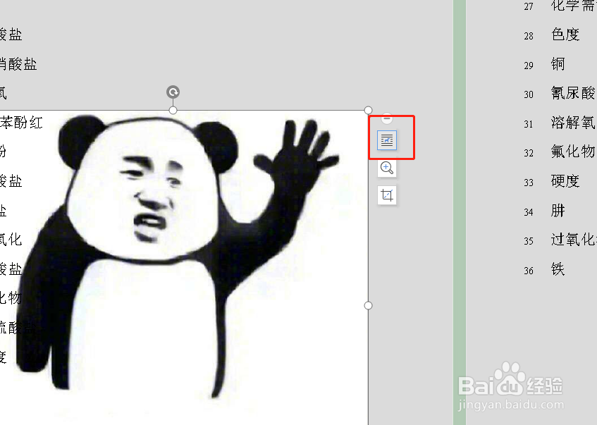 Word为什么识别不出来表情 第1张 Word为什么识别不出来表情 第1张