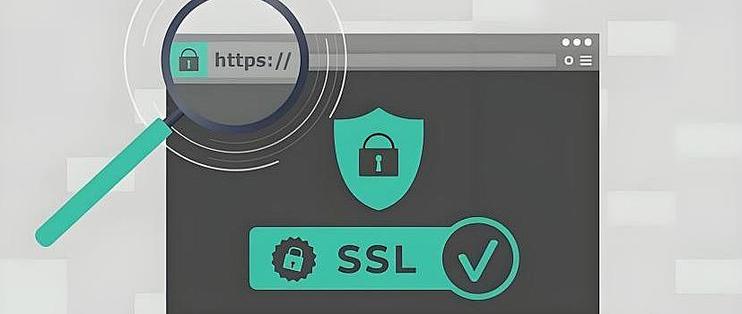 SSL服务器更新必要吗？是否已确认其安全性及兼容性？