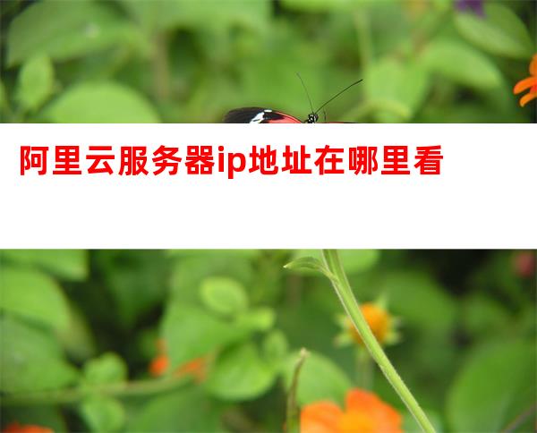 阿里云虚拟主机IP查找攻略,简单步骤揭秘,快速定位您的服务器IP地址! 第3张 阿里云虚拟主机IP查找攻略,简单步骤揭秘,快速定位您的服务器IP地址! 第3张