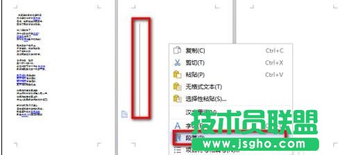 wps为什么删除文字变成竖着的 第3张 wps为什么删除文字变成竖着的 第3张
