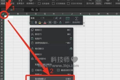 WPS文档中自动隐藏行列的原因及解决办法是什么? 第2张 WPS文档中自动隐藏行列的原因及解决办法是什么? 第2张