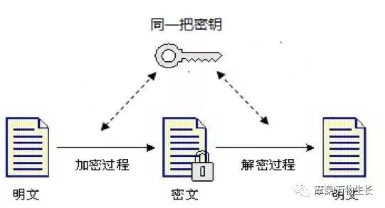为何每次复制密码都如出一辙?揭秘重复复制密码的奥秘! 第3张 为何每次复制密码都如出一辙?揭秘重复复制密码的奥秘! 第3张