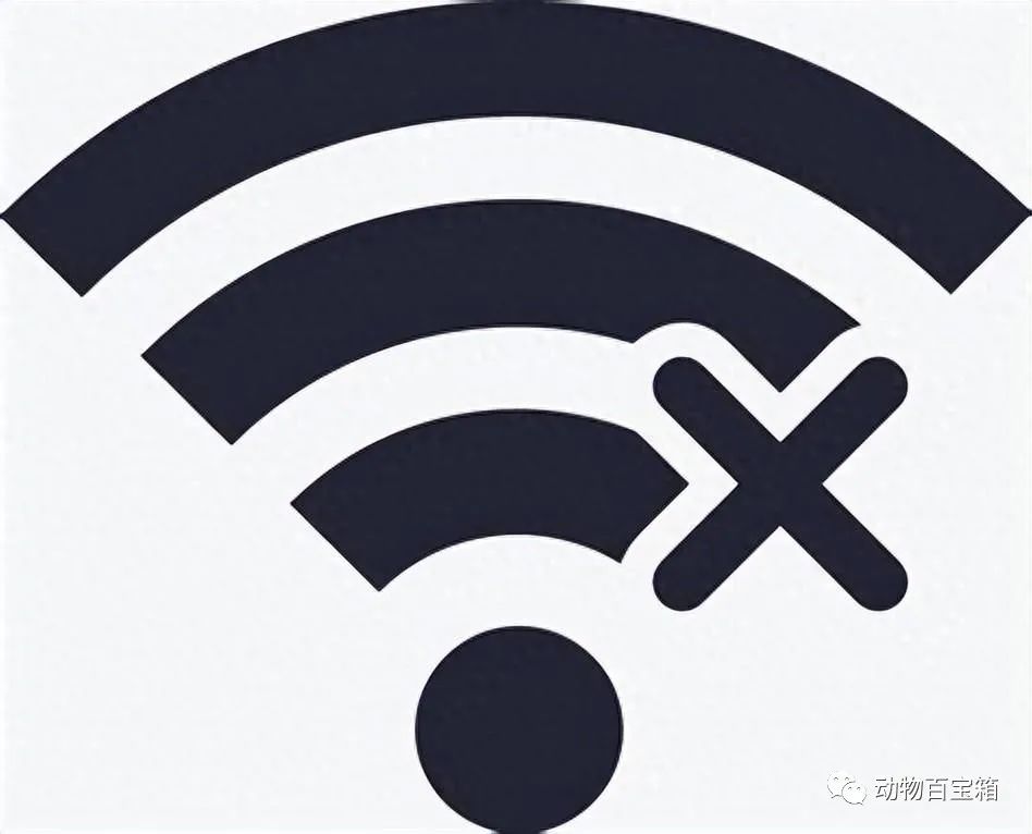 无线分享无法使用?揭秘背后技术难题与常见故障原因! 第2张 无线分享无法使用?揭秘背后技术难题与常见故障原因! 第2张