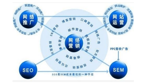 分网站揭秘,不同网站的独特运营策略与市场定位有何差异? 第2张 分网站揭秘,不同网站的独特运营策略与市场定位有何差异? 第2张