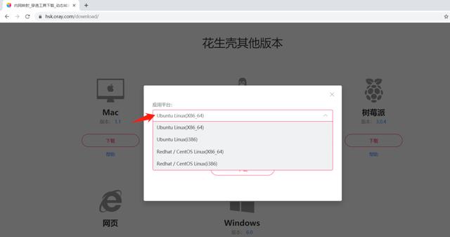 虚拟主机能用花生壳么 第3张 虚拟主机能用花生壳么 第3张