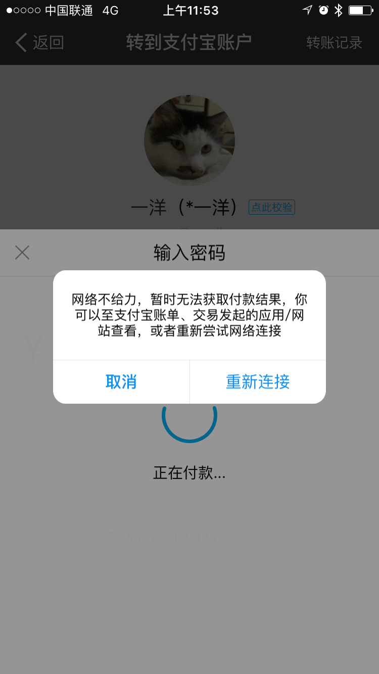 为何突然无法使用支付宝支付?技术故障还是账户问题? 第3张 为何突然无法使用支付宝支付?技术故障还是账户问题? 第3张