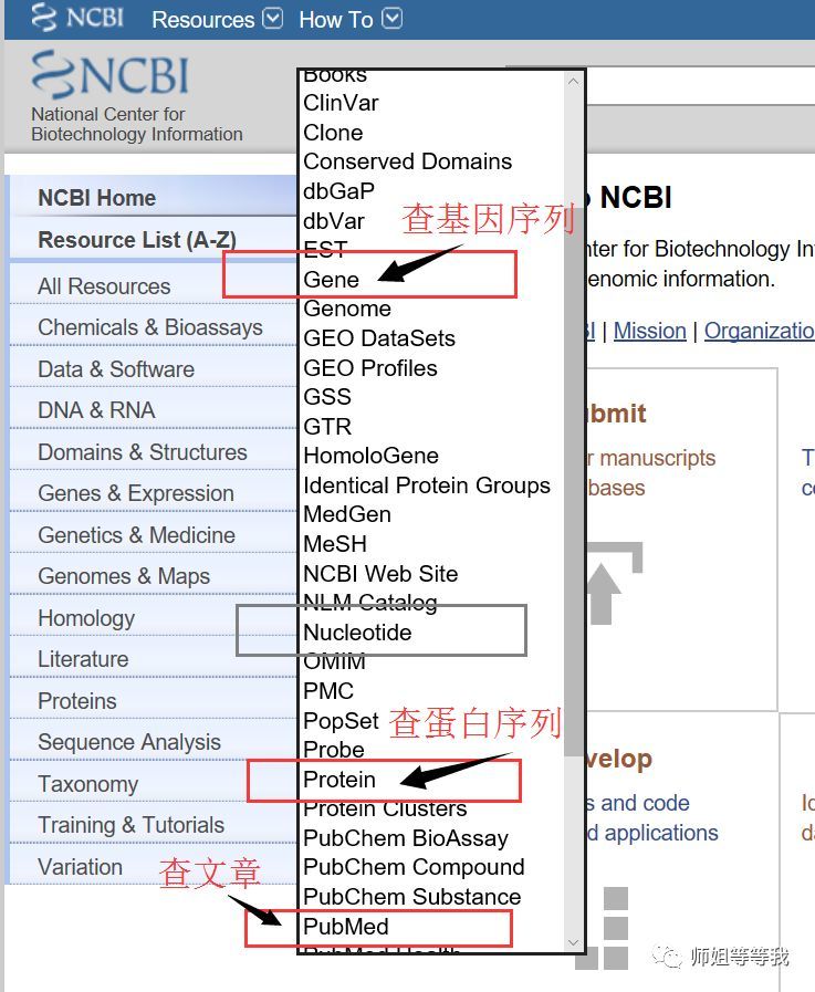 在浩瀚的基因海洋中,如何精准导航至NCBI数据库的宝藏? 第2张 在浩瀚的基因海洋中,如何精准导航至NCBI数据库的宝藏? 第2张
