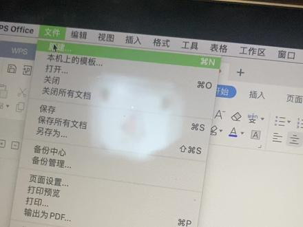 为什么Mac版WPS打开文件总是显示只读模式,无法编辑?原因揭秘! 第2张 为什么Mac版WPS打开文件总是显示只读模式,无法编辑?原因揭秘! 第2张