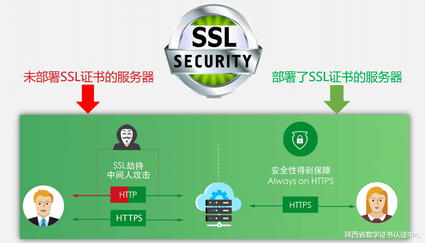 根证书和服务器证书有什么区别?SSL证书怎么选择 第2张 根证书和服务器证书有什么区别?SSL证书怎么选择 第2张