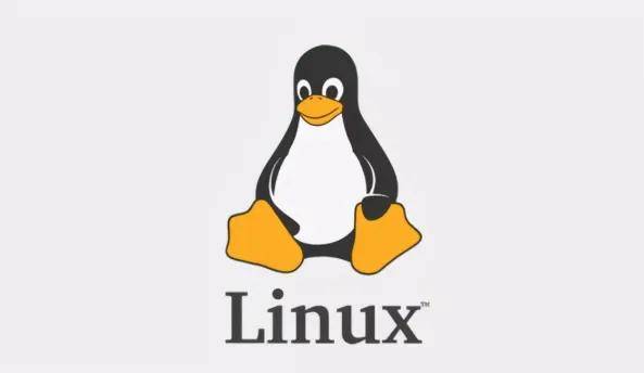 Linux服务器优势何在?为何成为众多企业首选? 第2张 Linux服务器优势何在?为何成为众多企业首选? 第2张