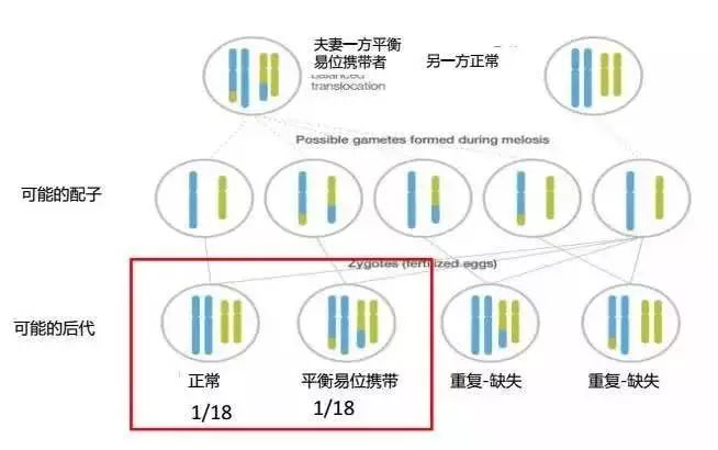 在遗传学中,为何单倍距离不变,其背后原理是什么? 第2张 在遗传学中,为何单倍距离不变,其背后原理是什么? 第2张