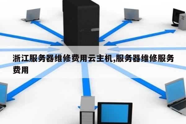 浙江服务器维修,虚拟主机服务哪家强?性价比如何? 第1张 浙江服务器维修,虚拟主机服务哪家强?性价比如何? 第1张