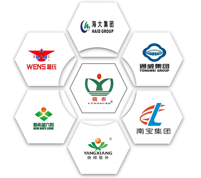 商标风筝为何成为品牌标识新宠?揭秘其独特魅力与市场潜力? 第2张 商标风筝为何成为品牌标识新宠?揭秘其独特魅力与市场潜力? 第2张