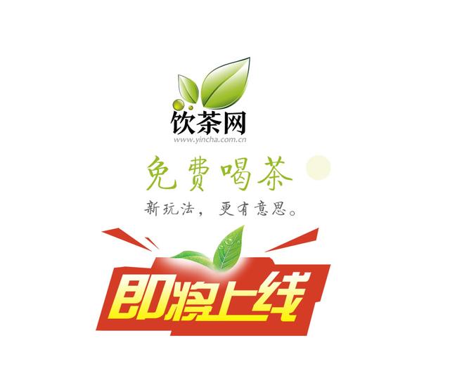茶叶域名怎么注册?茶叶域名注册 第1张 茶叶域名怎么注册?茶叶域名注册 第1张