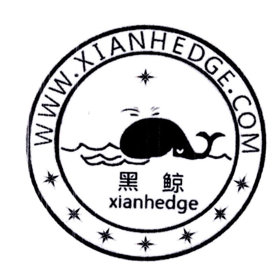 黑鲸商标究竟有何独特之处,为何如此引人关注? 第3张 黑鲸商标究竟有何独特之处,为何如此引人关注? 第3张