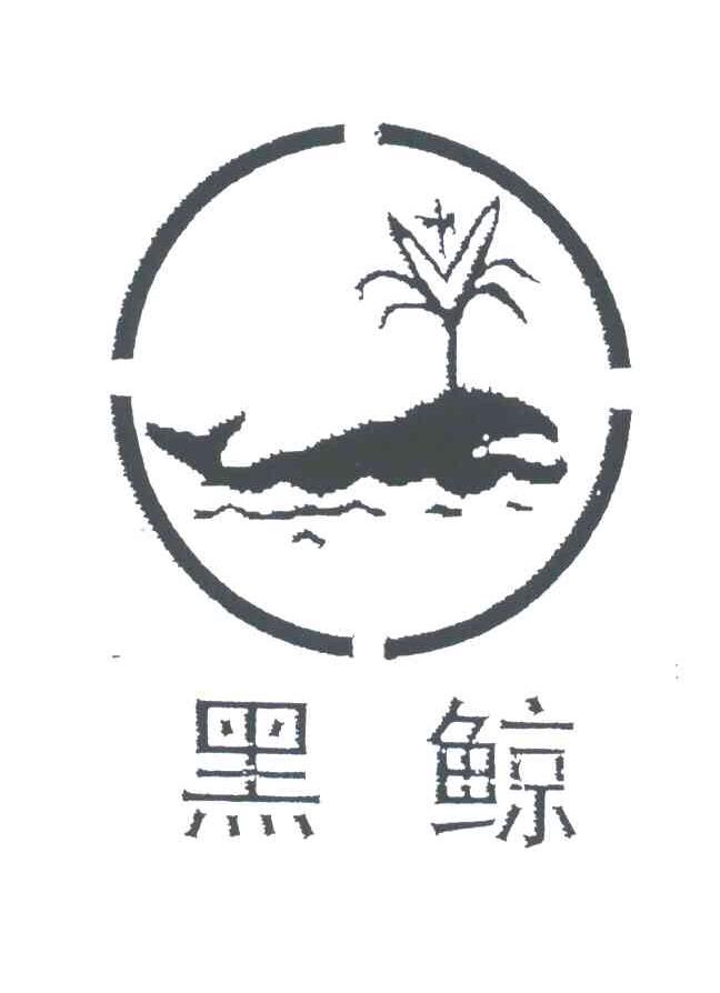 黑鲸商标究竟有何独特之处,为何如此引人关注? 第2张 黑鲸商标究竟有何独特之处,为何如此引人关注? 第2张