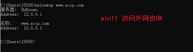 Linux如何访问域名?域名解析配置详解 第2张 Linux如何访问域名?域名解析配置详解 第2张