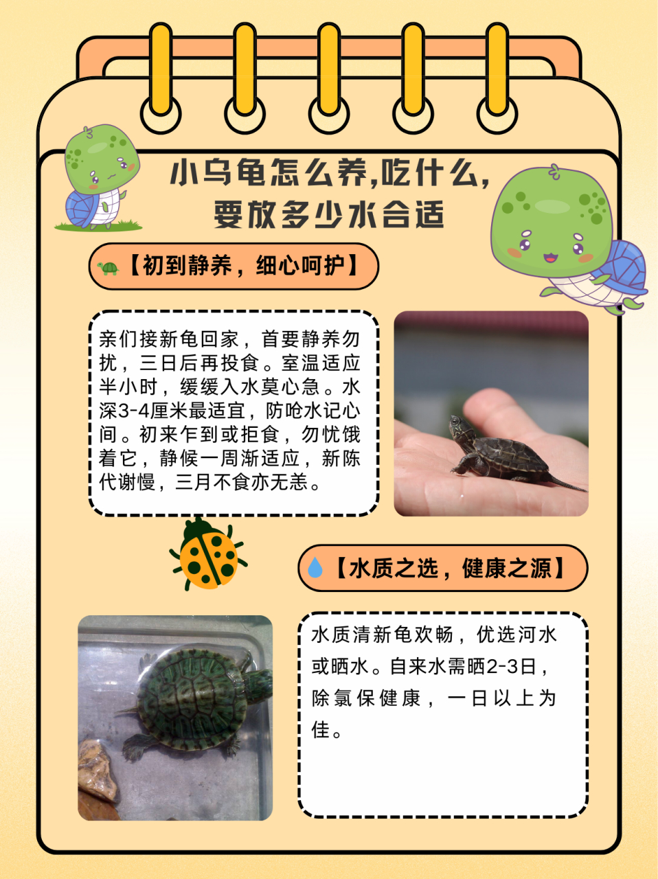 小乌龟配置怎么调最佳?小乌龟配置参数设置详解 第3张 小乌龟配置怎么调最佳?小乌龟配置参数设置详解 第3张