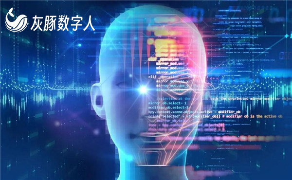 数字人直播需要什么样的服务器?数字人直播服务器配置要求高吗? 第1张 数字人直播需要什么样的服务器?数字人直播服务器配置要求高吗? 第1张