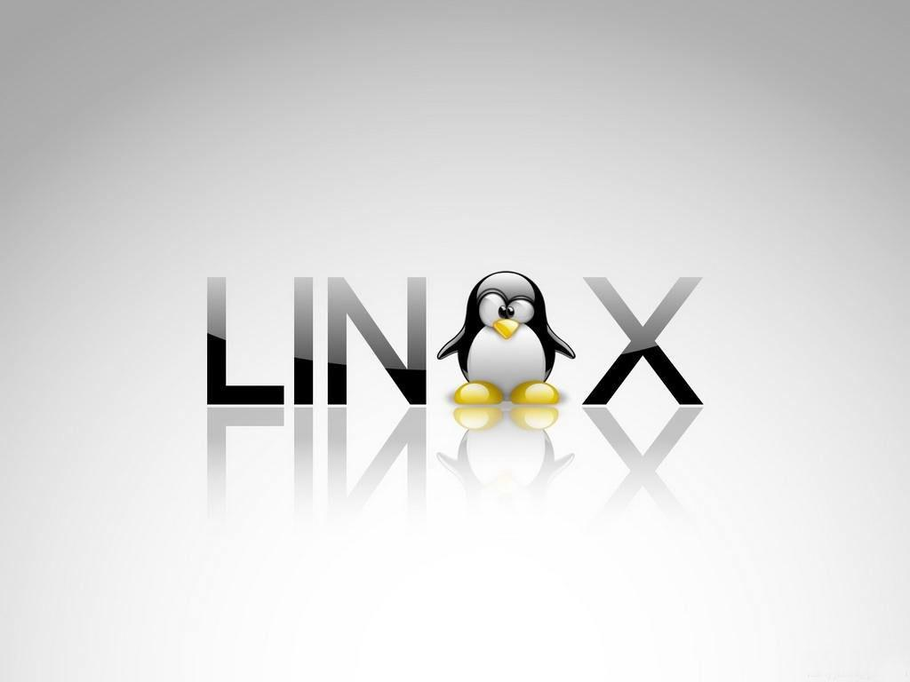如何在linux安装lxml 第1张 如何在linux安装lxml 第1张