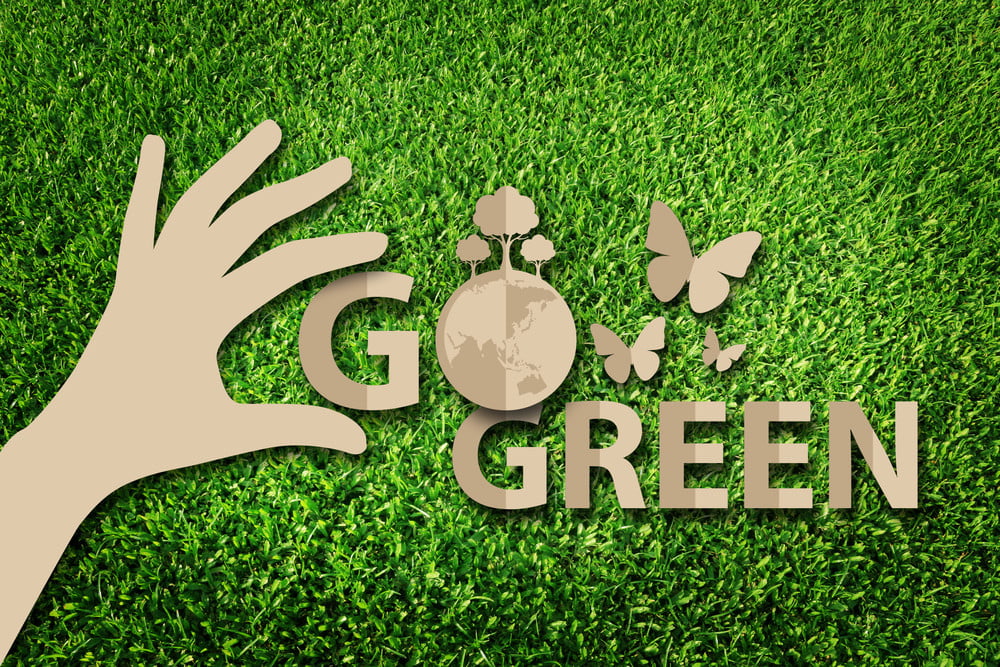 green网络工具究竟有何独特之处,能让用户爱不释手? 第1张 green网络工具究竟有何独特之处,能让用户爱不释手? 第1张