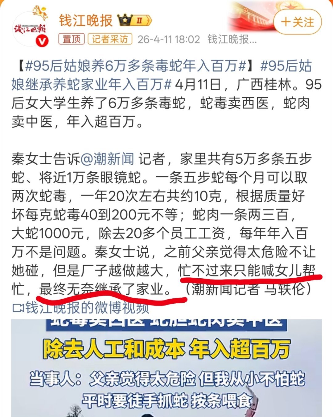 毒蜥级配置怎么配最强,毒蜥级配置推荐方案2024版 第1张 毒蜥级配置怎么配最强,毒蜥级配置推荐方案2024版 第1张