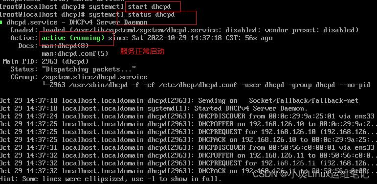 Linux DHCP服务器安装过程中,有哪些关键步骤和注意事项? 第1张 Linux DHCP服务器安装过程中,有哪些关键步骤和注意事项? 第1张
