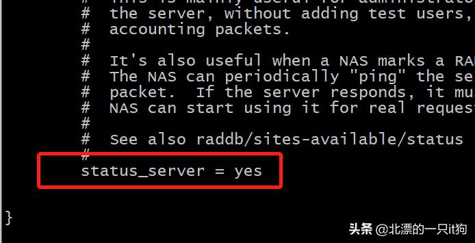 freeradius服务器在配置和优化中常见的问题有哪些? 第3张 freeradius服务器在配置和优化中常见的问题有哪些? 第3张