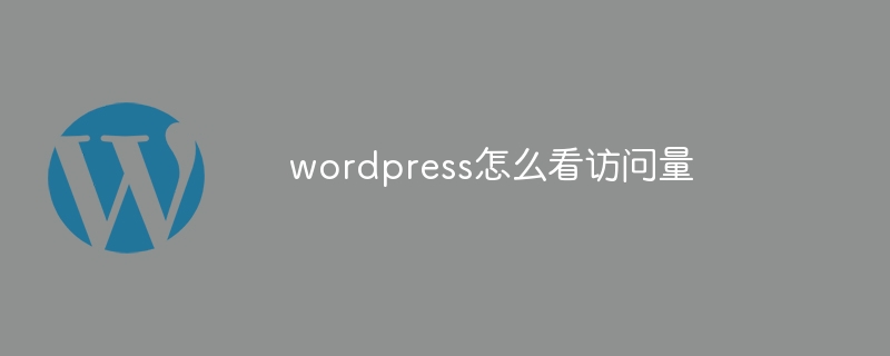 WordPress访问量如何轻松统计? 第2张 WordPress访问量如何轻松统计? 第2张