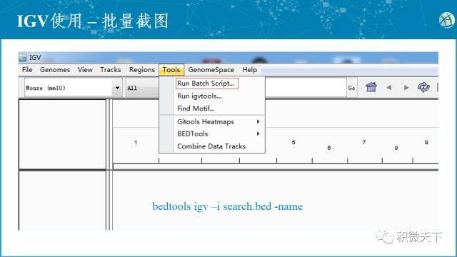 高通量测序数据在IGV中如何可视化?,步骤有哪些? 第1张 高通量测序数据在IGV中如何可视化?,步骤有哪些? 第1张
