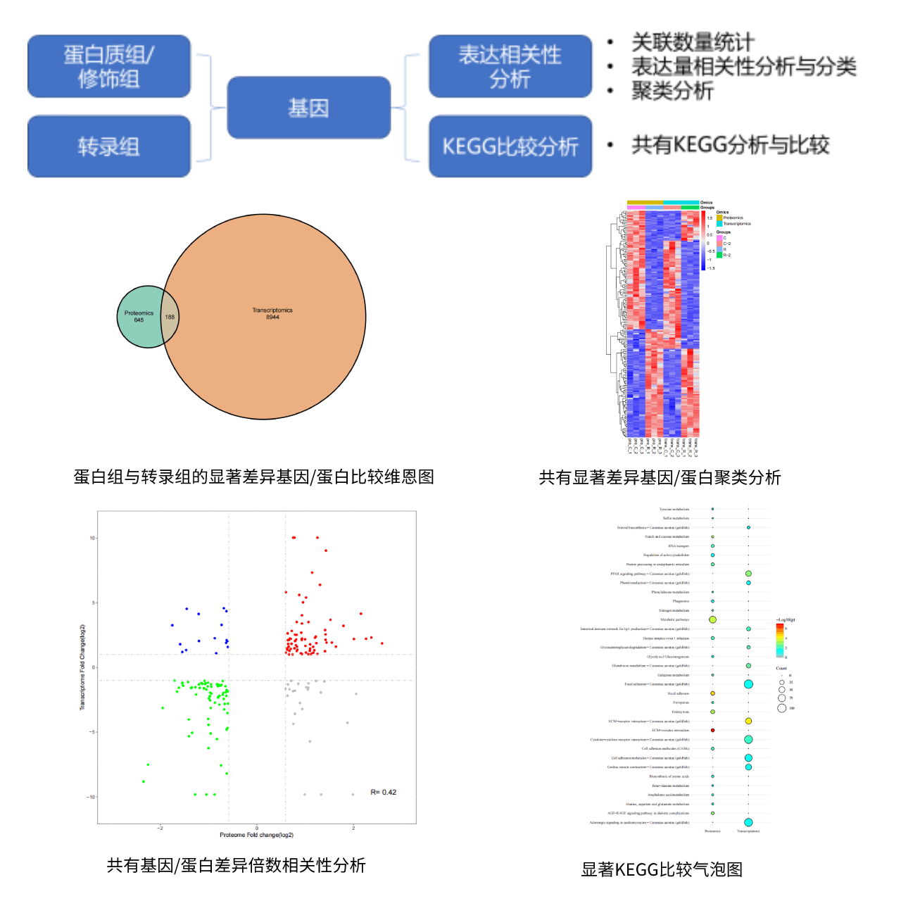 高通量测序数据可视化怎么做,有哪些常用软件? 第2张 高通量测序数据可视化怎么做,有哪些常用软件? 第2张